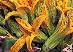 Pumpkin flowers